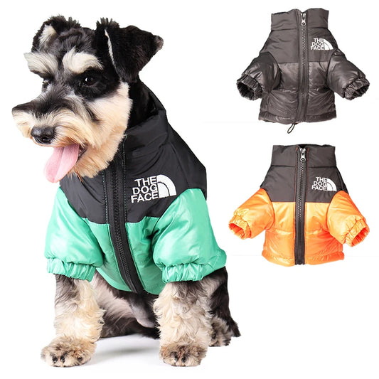 Vestiti invernali per cani di piccola taglia e media