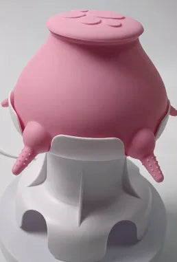 Distributore per allattare gattini