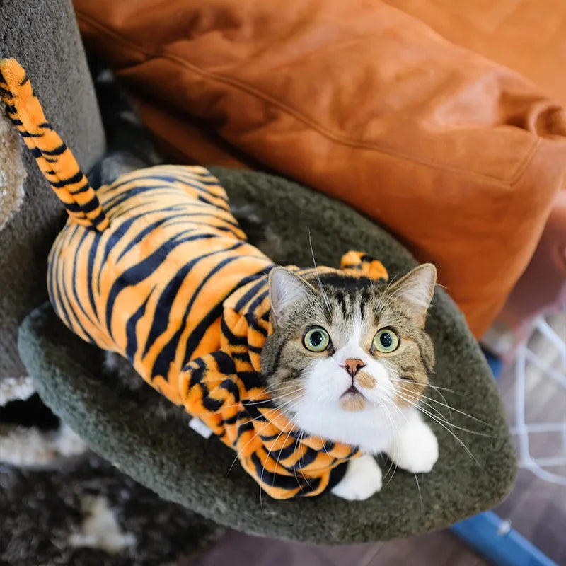 Costumi animalier in pile