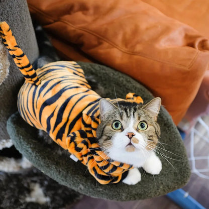 Costumi animalier in pile