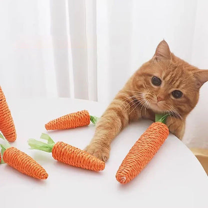 Giocattolo per animali carota