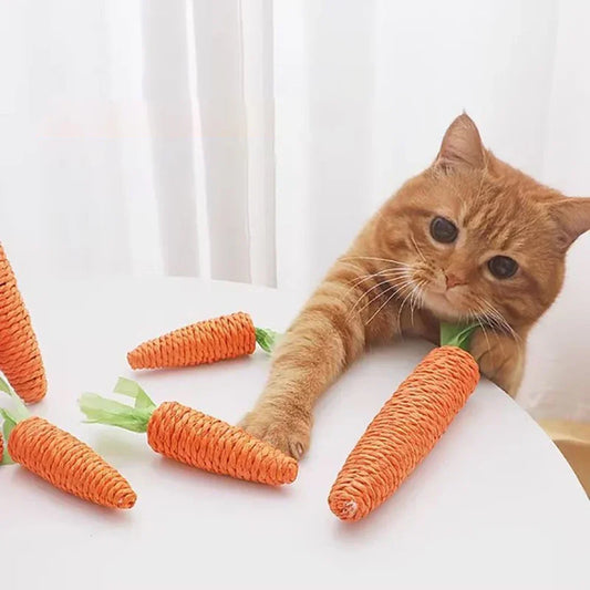 Giocattolo per animali carota