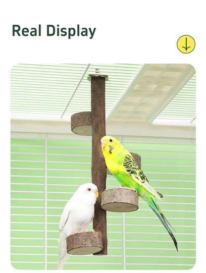Gabbia per pappagalli Altalena Giocattolo Scaletta Giocattolo da masticare per uccelli da compagnia Filo di cotone appeso per uccello Noia Gabbia per rompere il cerchio sospeso Giocattolo