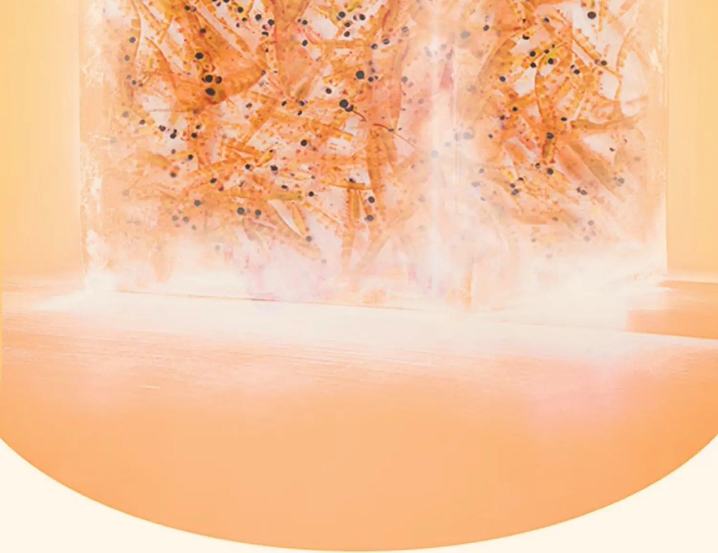 Cibo Premium per pesci, tartarughe, pappagalli - Krill antartico liofilizzato