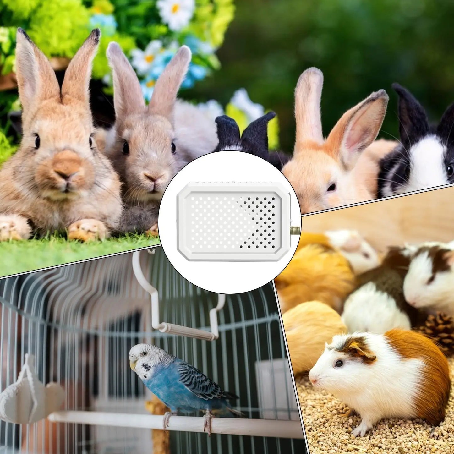 Heizplatte für Vogelkäfige, sicherer Thermostat, Heizung für Wellensittiche, Sittiche, Finken, Kaninchen, Hamster, für den Winter