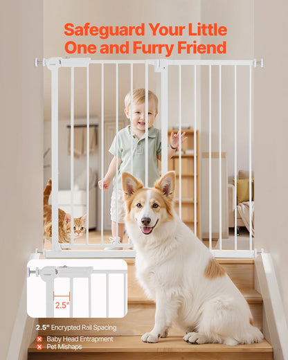 Cancello per cani