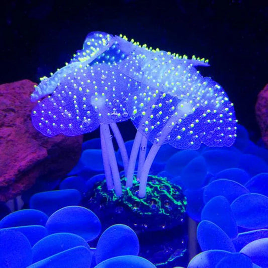 Decorazione acquario coralli