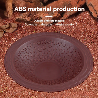 Pond con feeder per tartarughe d'acqua