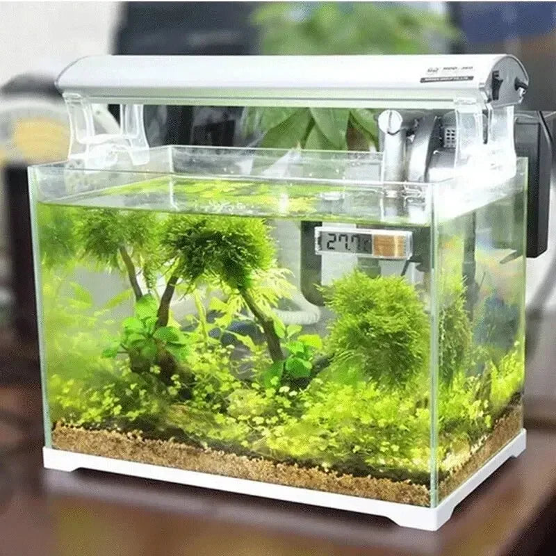 1 pz termometro per acquario elettronico LCD digitale misurazione della temperatura dell'acquario misuratore di temperatura dell'acquario accessori per acquari