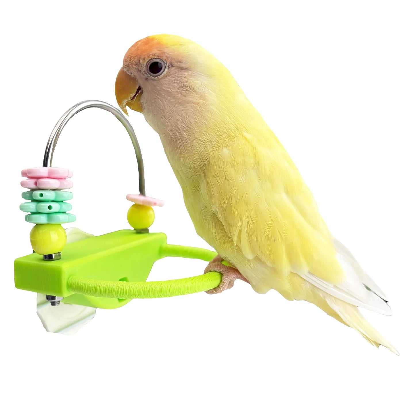 Pappagallo interattivo Allevia la noia Giocattolo Gabbia per uccelli Giocattolo per pappagalli Prendi dolcetti Dispenser per l'intrattenimento di stimolazione mentale