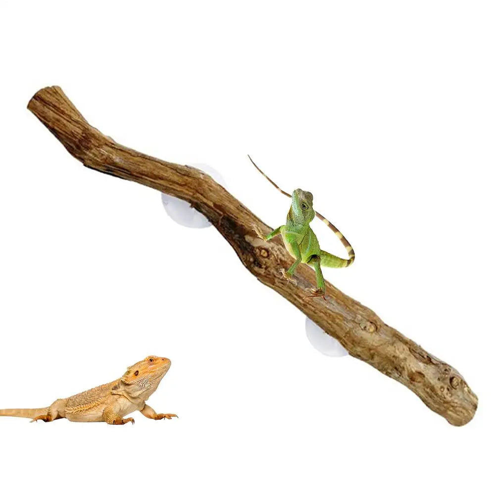 Ramo d'Albero in Legno per Rettili, Decorazione Antiscivolo per Terrario, Ornamento per Habitat