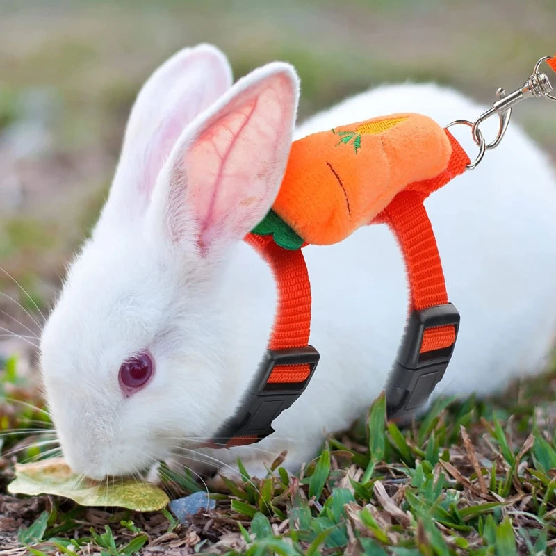 Wakling Outdoor Kleine Tiere Kaninchengeschirr und Leine Cartoon-Stil für Kaninchen Meerschweinchen Kaninchen Zubehör Haustier