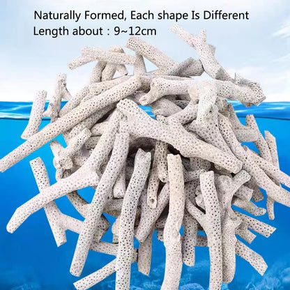 Filtro per acquario con osso di corallo di barriera corallina naturale di alta qualità materiale biologico medio sabbie di corallo per la filtrazione del serbatoio di pesce fisso PH