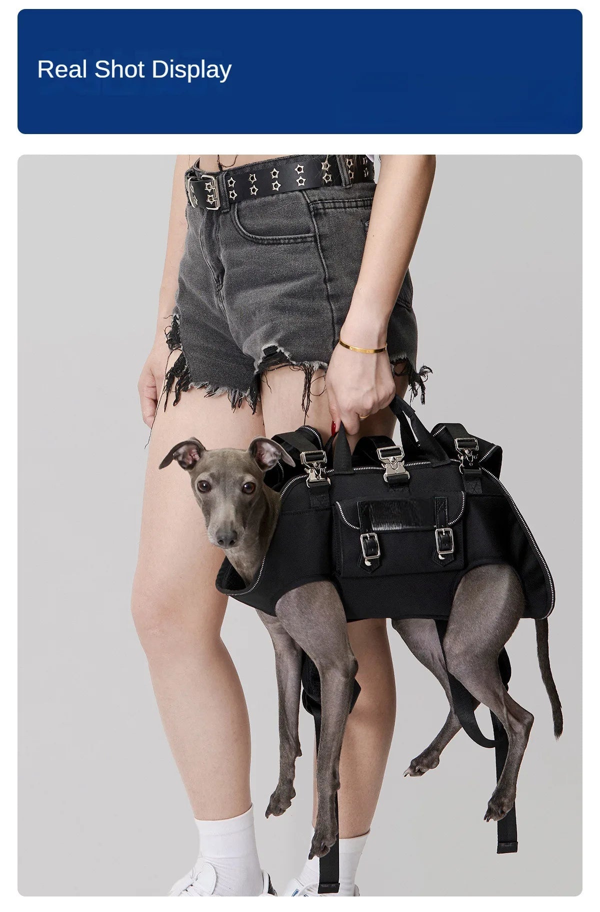 Zaino con logo personalizzato per cani Imbracatura per cani per tutto il corpo con manico Imbracature per sollevamento cani per cani anziani Cani disabili Forniture per animali domestici