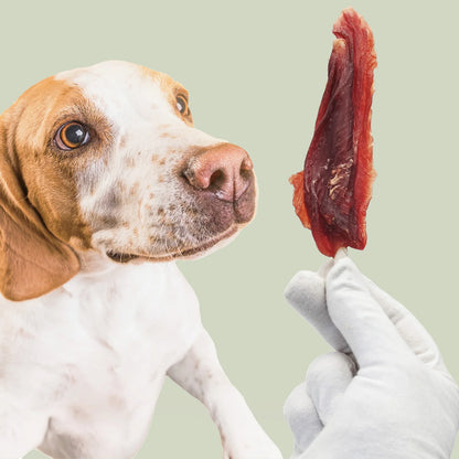 Entenbrustfiletstreifen, natürliches Hunde-Leckerli, Mersjo, 500g