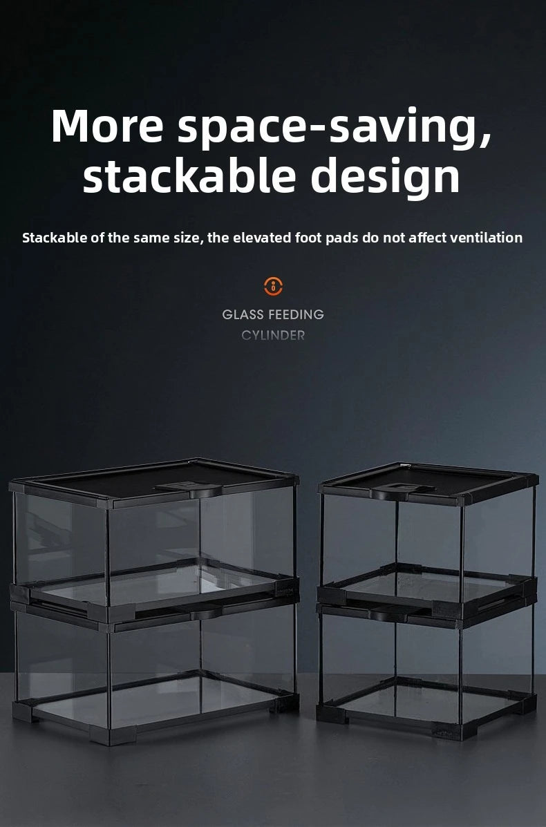 Professionelles Glas-Terrarium für Reptilien, geeignet für Chamäleons, Echsen und Schlangen, ideal für Hornfrösche und Wasserschildkröten, mit transparenter Belüftung.