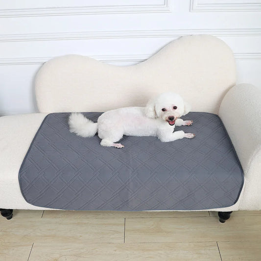 Telo assorbente per cuccioli