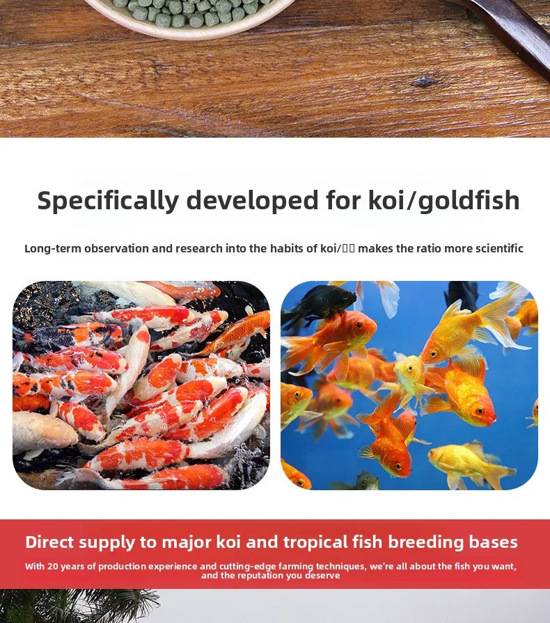 Cibo per carpe Koi, pesci rossi e pesci ornamentali