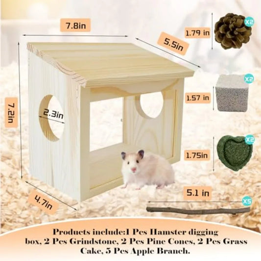 Scatola per scavo visibile per criceti con contenitore per bagno di sabbia e accessori per piastre acriliche per ratti sirani nani, topi, gerbiglie, Lemmings