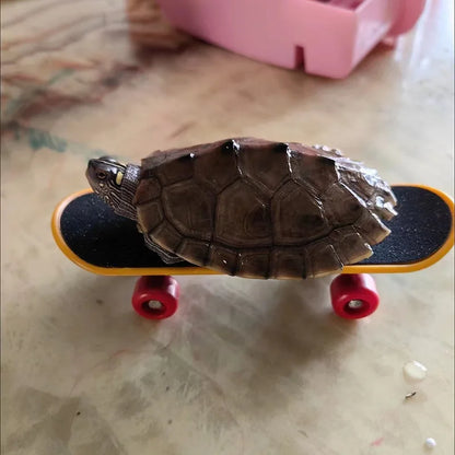 Schildkrötenspielzeug - Skateboard