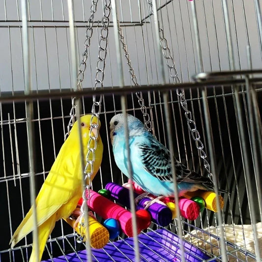 Altalena per uccelli da compagnia