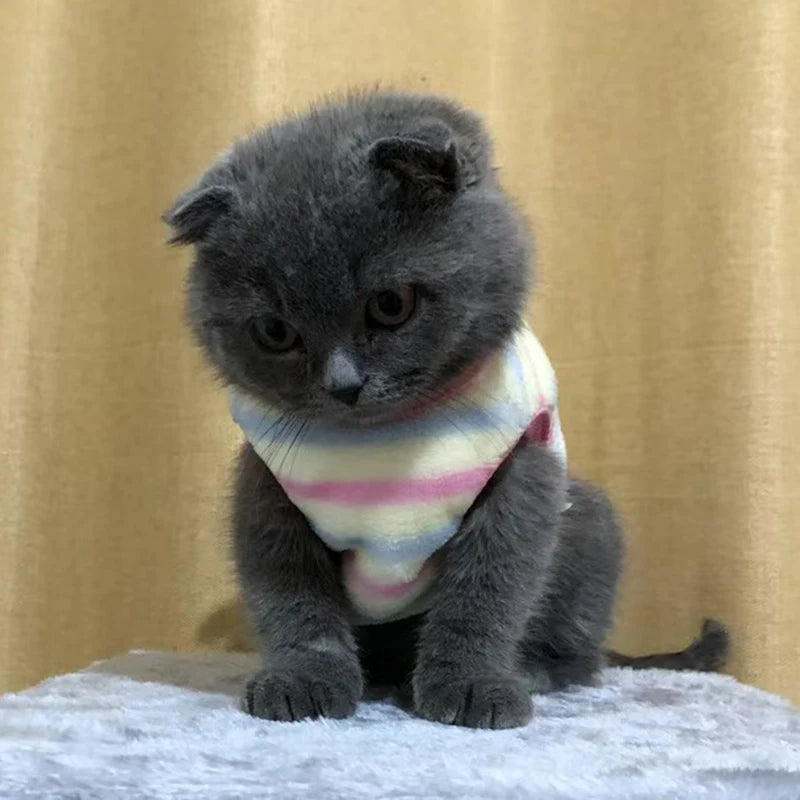 Maglioncino a tema, invernale gatti/cuccioli