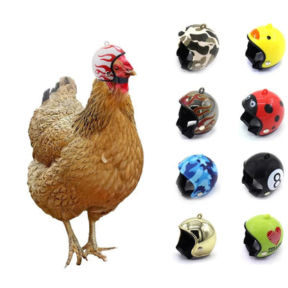 Casco per pappagallo Cappello per piccione Attrezzatura protettiva per animali domestici Protezione solare Casco antipioggia Giocattolo per uccelli Piccoli animali domestici Accessori di abbigliamento Pajaros