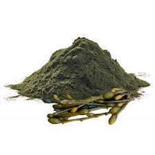 Integratore Alimentare - KELP POWDER (Igiene Orale)