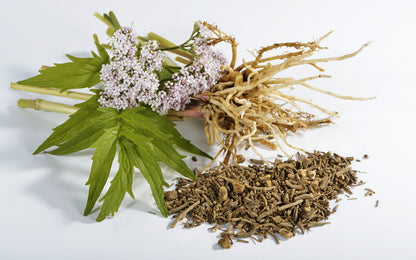 Integratore Naturale - DIFESE ATTIVE