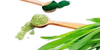 Integratore Alimentare in polvere - Compositum Vitaminicum Completo